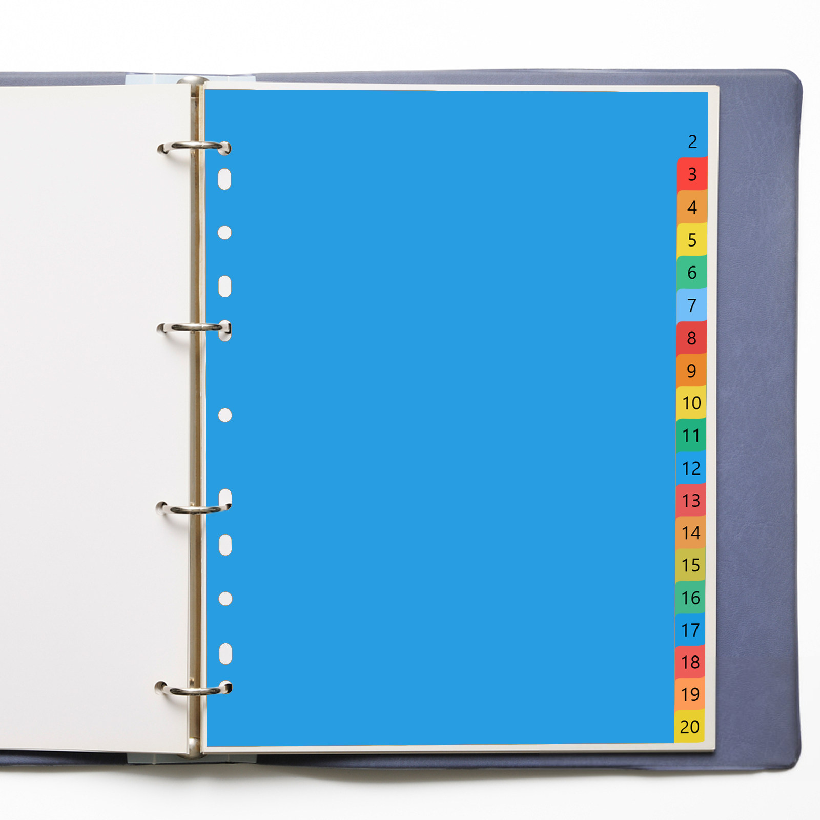 20 Separadores de Plástico Col - Tab Divider A4 reseña y precio