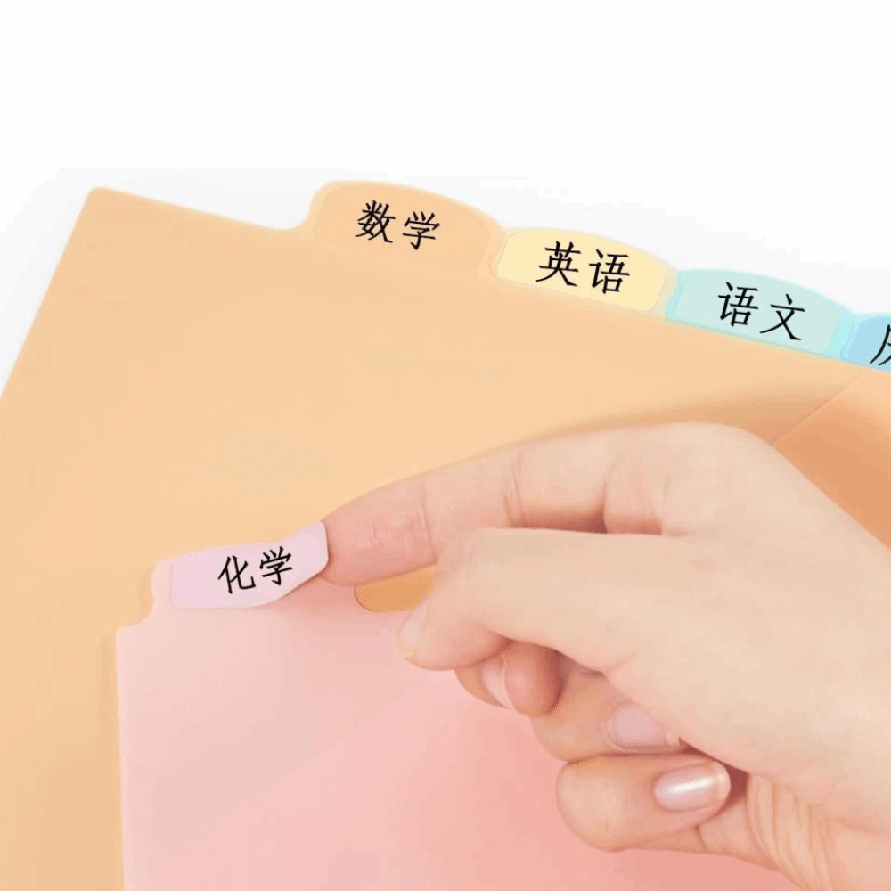 8 Separadores de Carpeta A4 en - Tab Divider A4 reseña y precio